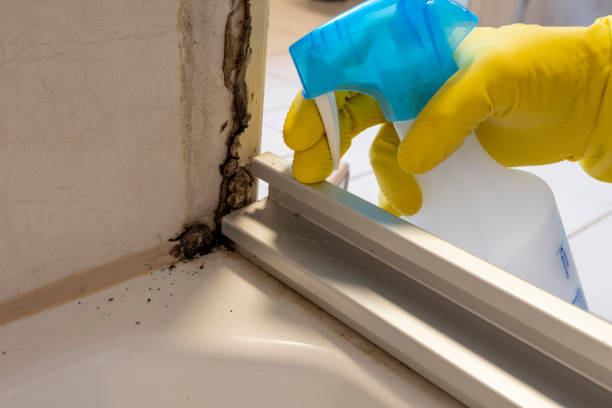Best Preventive Mold Services in Camp Croft, SC